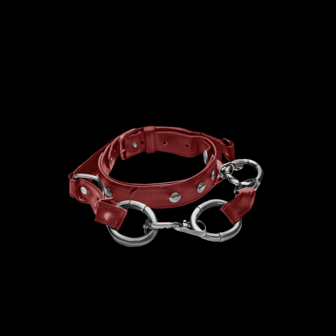 BDSM