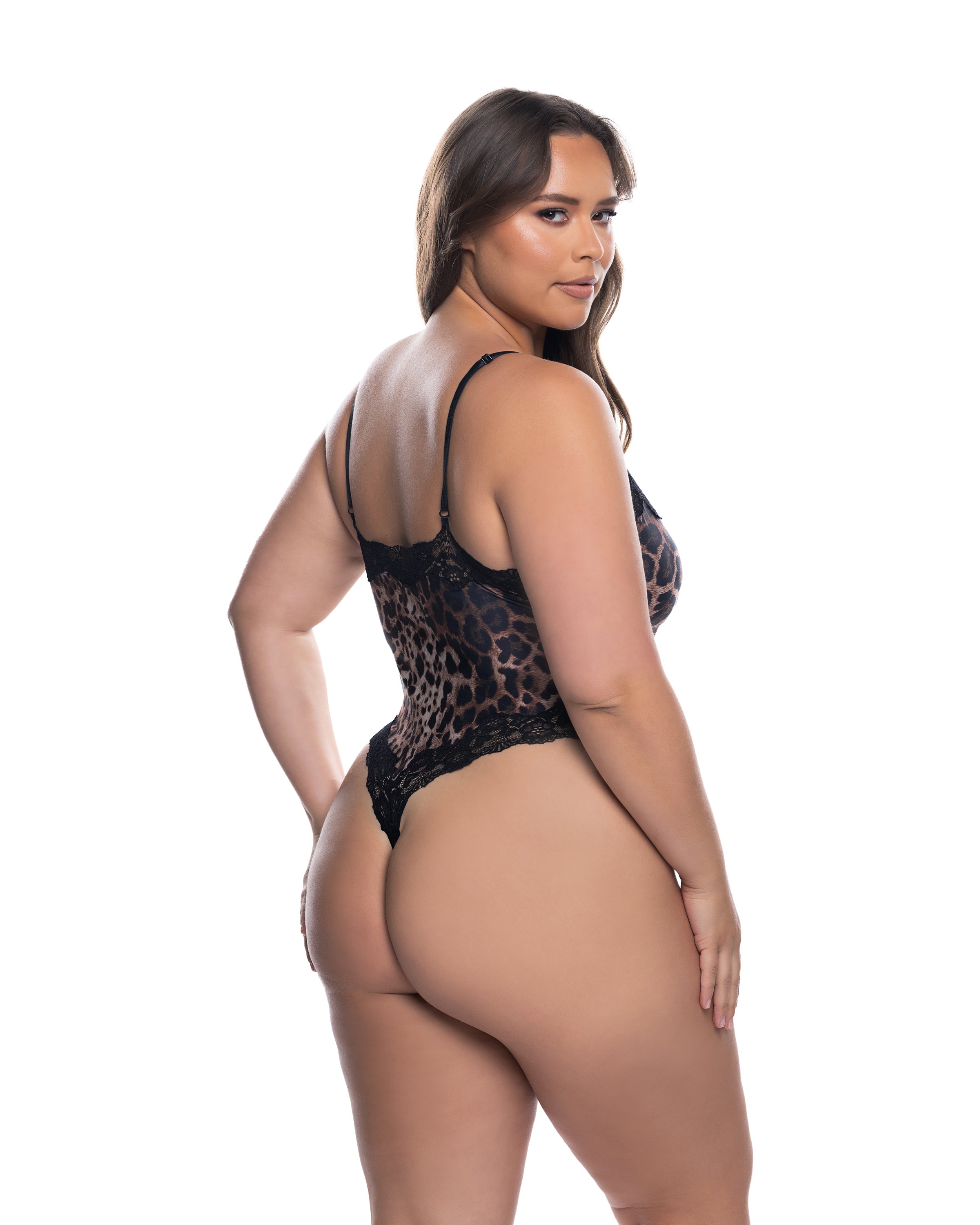 LI874 - Fierce Teddy