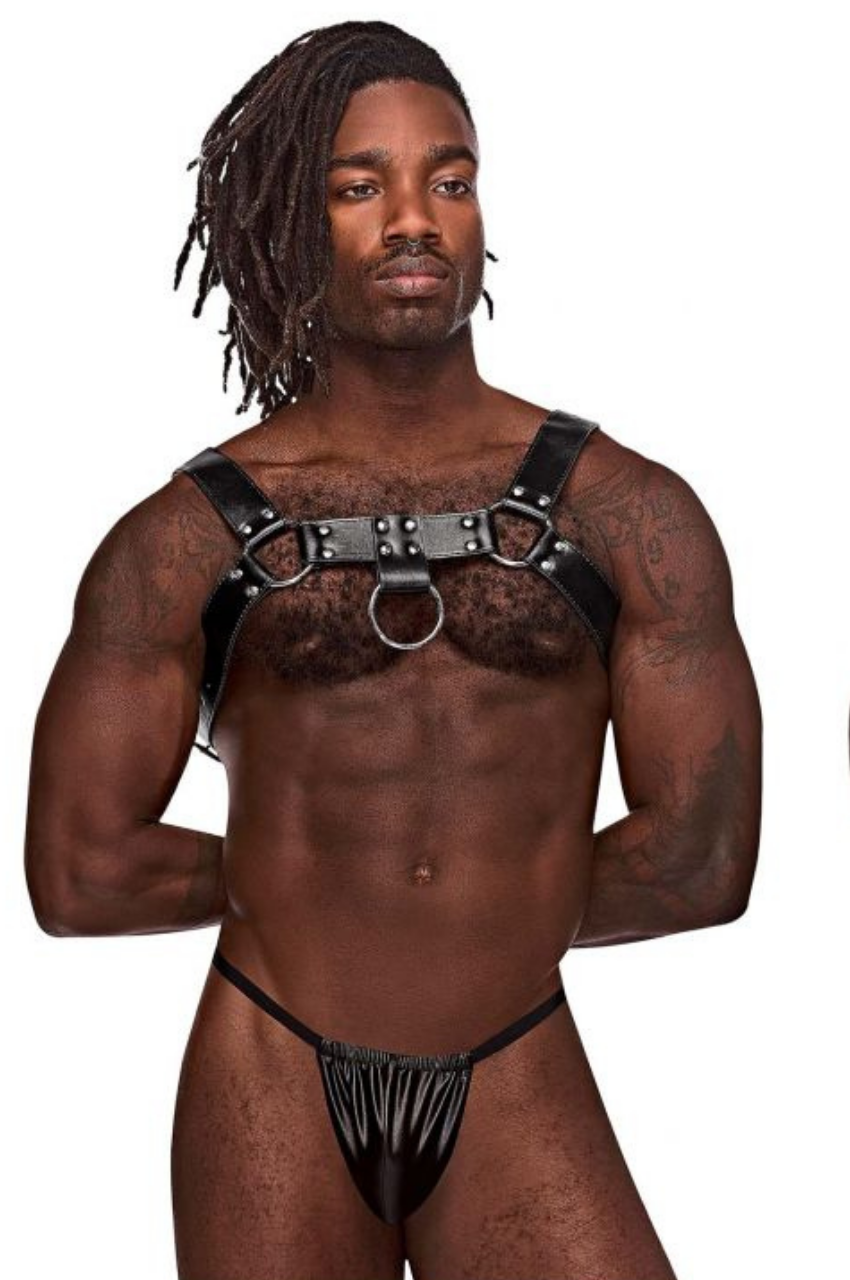 Leather Aries Harness