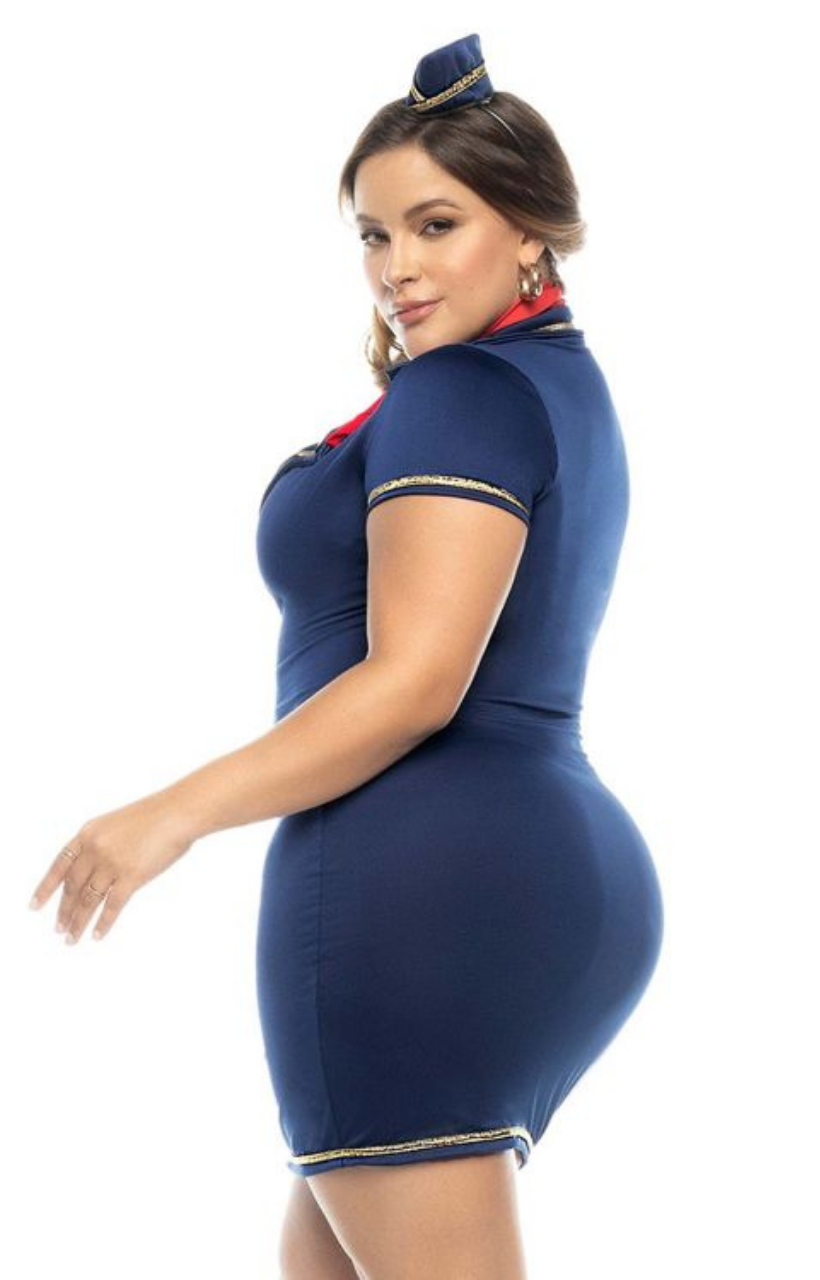 Drunk on a Plane Costume Plus