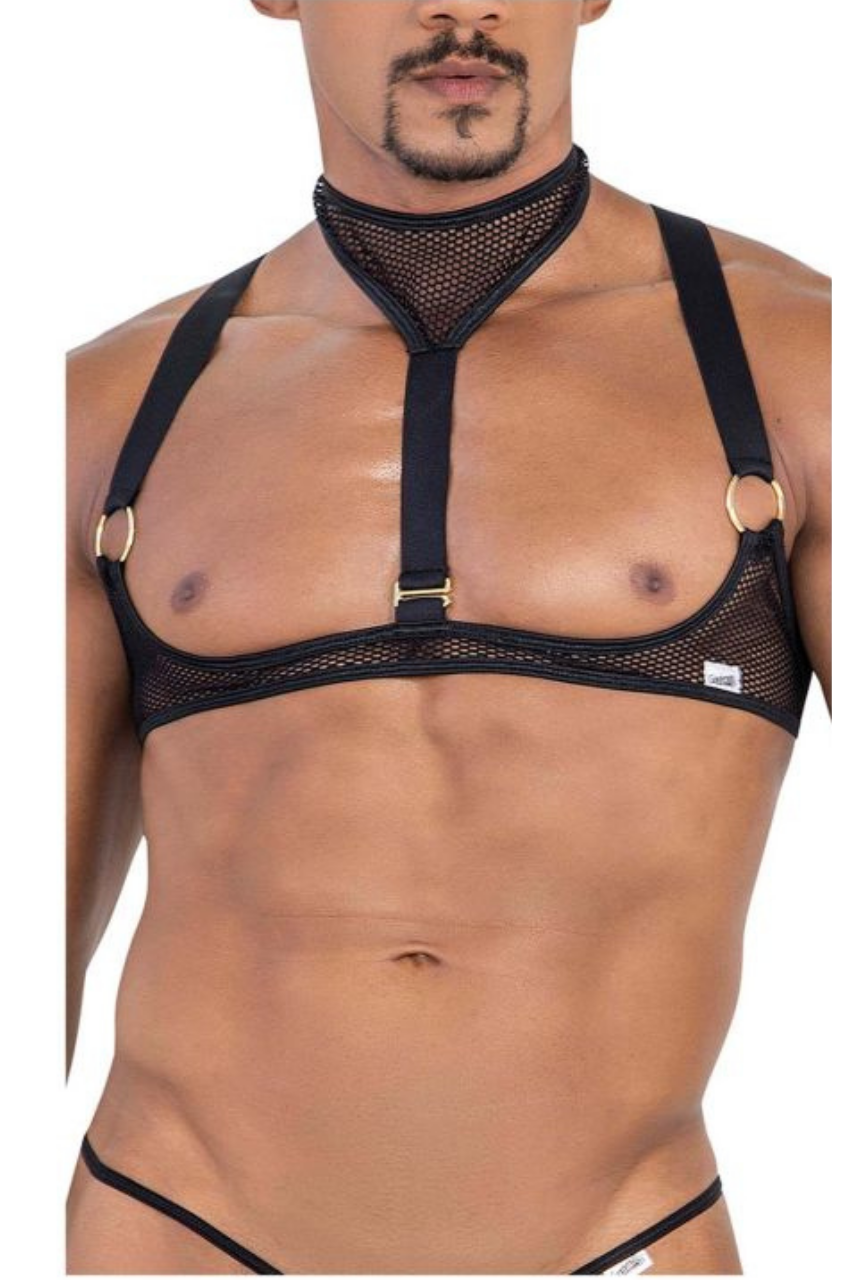 Mesh Harness