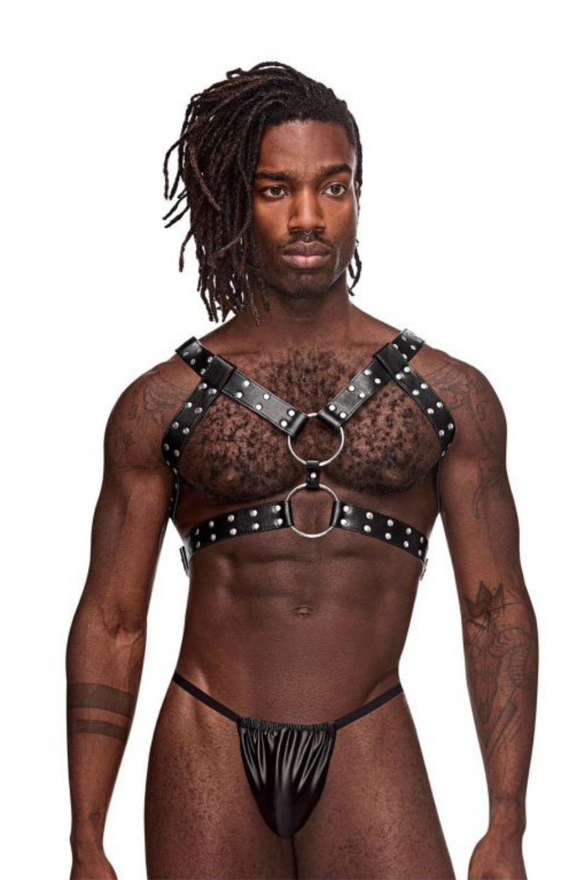 Leather Gemini Harness