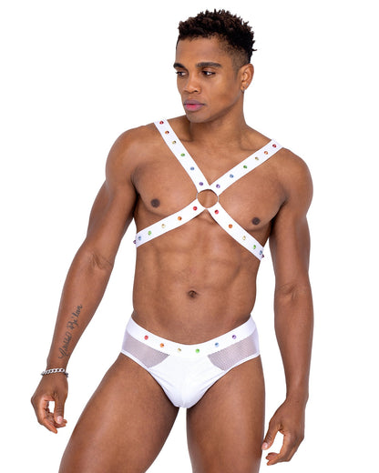 Mens Pride Fishnet & Vinyl Briefs