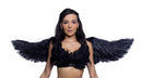 6843 - Wings