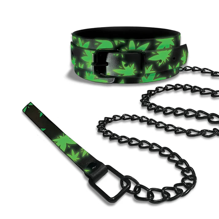 Glow in the Dark Collar and Leash