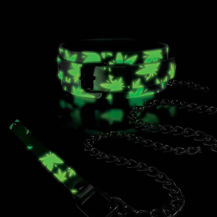 Glow in the Dark Collar and Leash