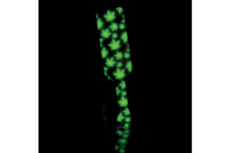 Glow in the Dark Paddle
