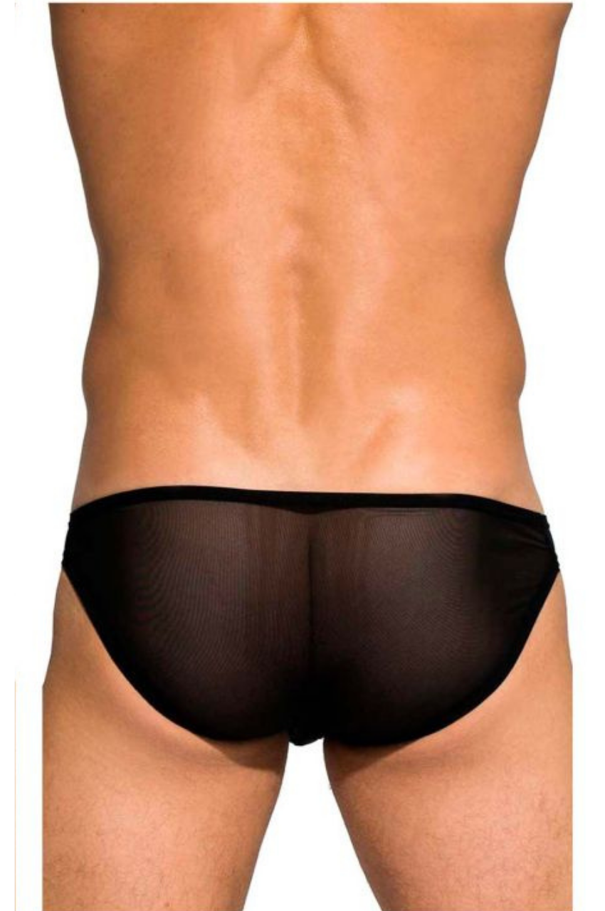 Desire Intima Low Rise Bikini