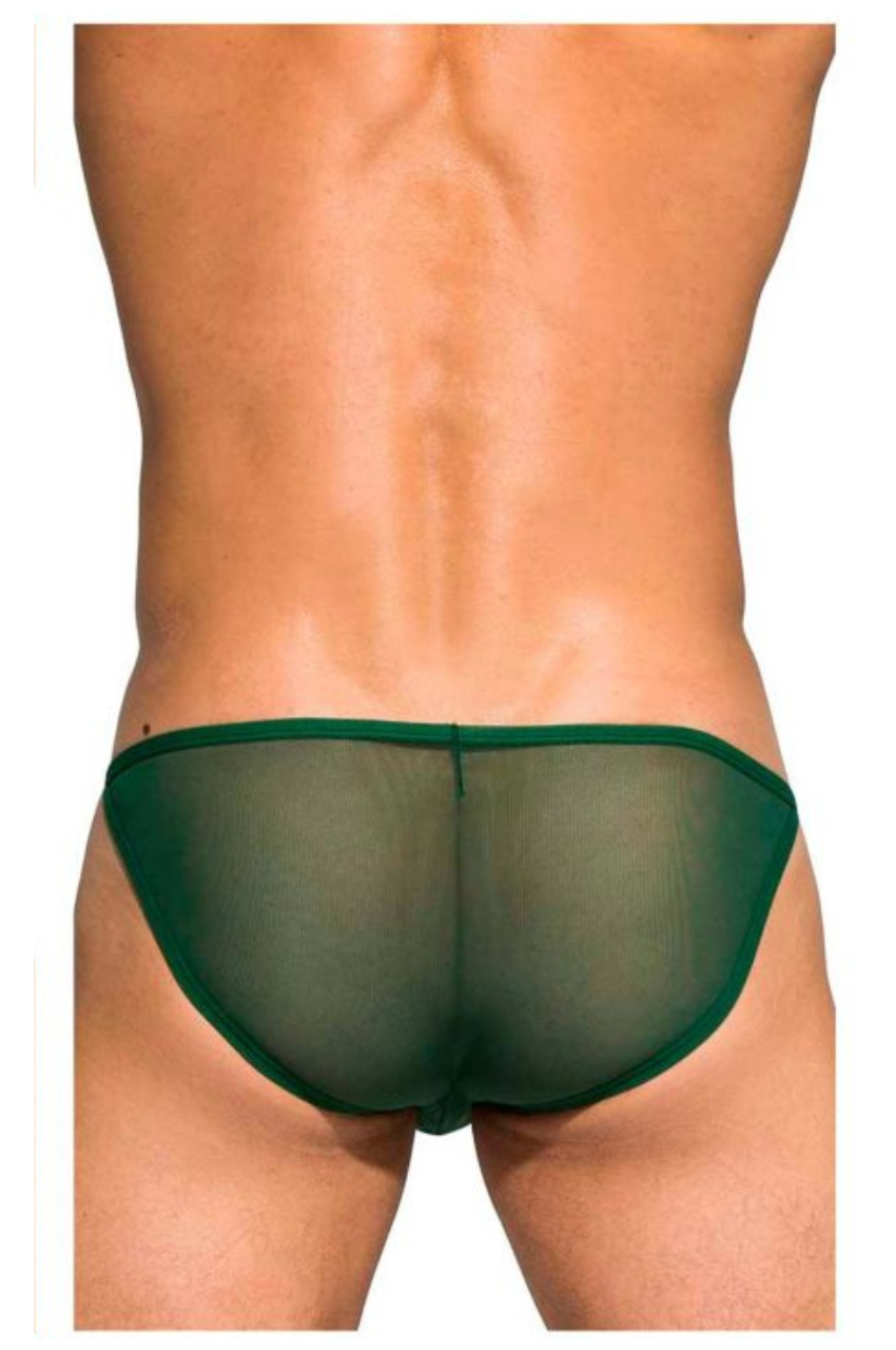 Desire Intima Low Rise Bikini