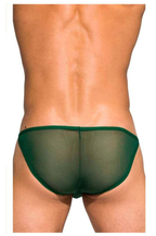 Desire Intima Low Rise Bikini