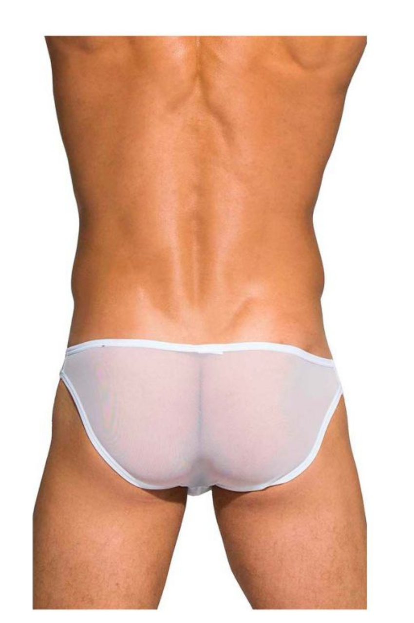 Desire Intima Low Rise Bikini