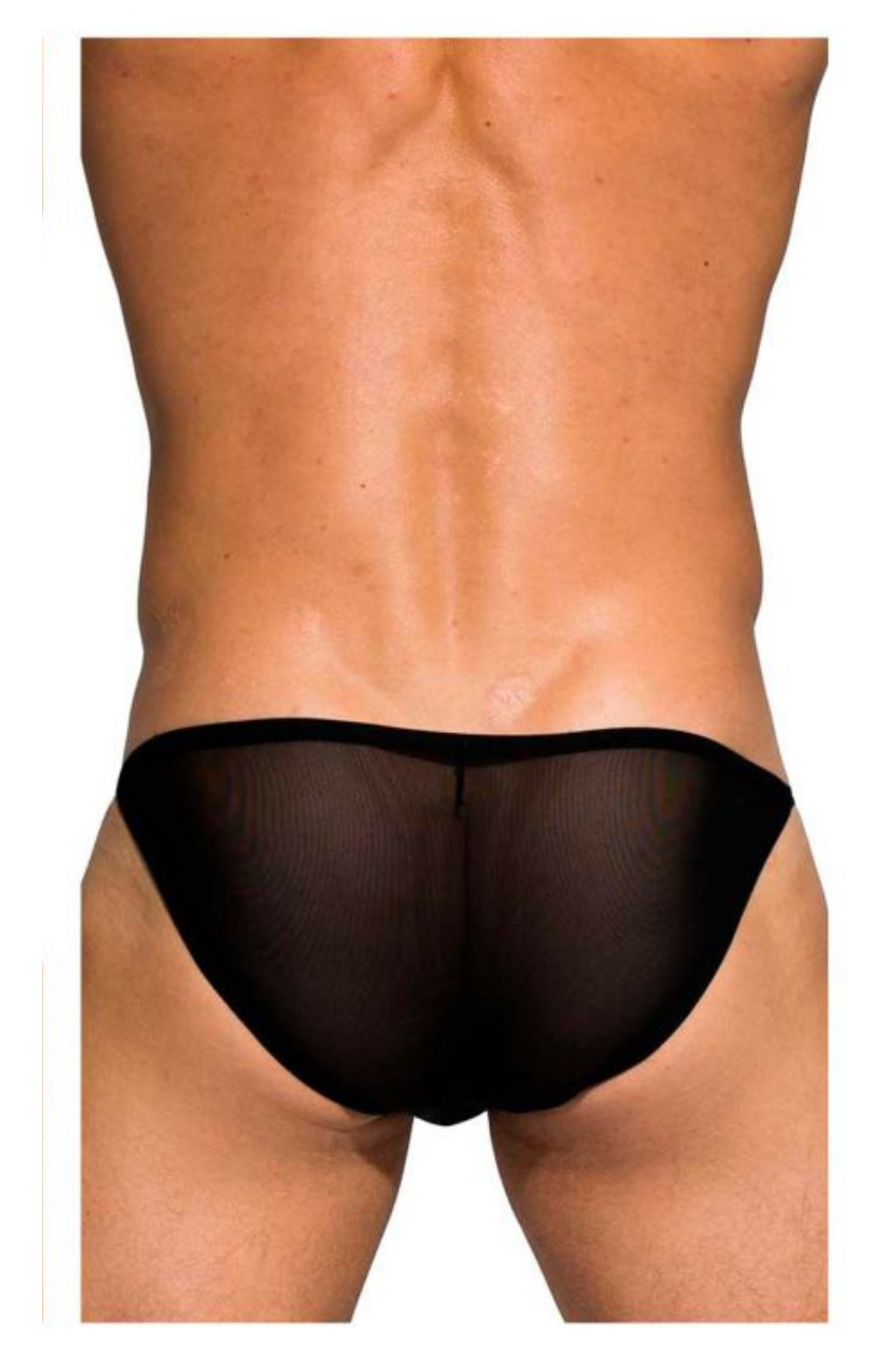 Desire Intima Low Rise Bikini