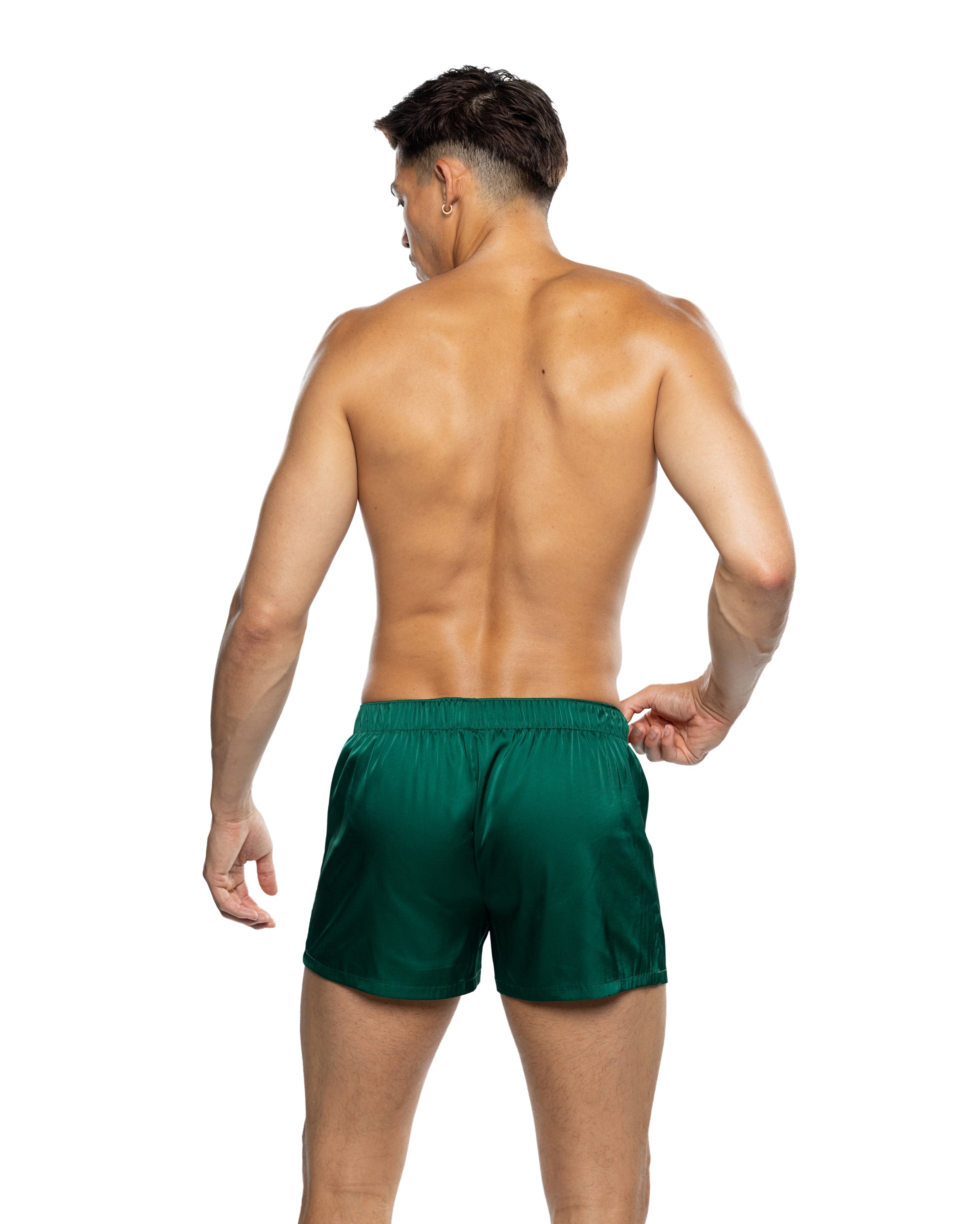 LI818 - Champion Boxer