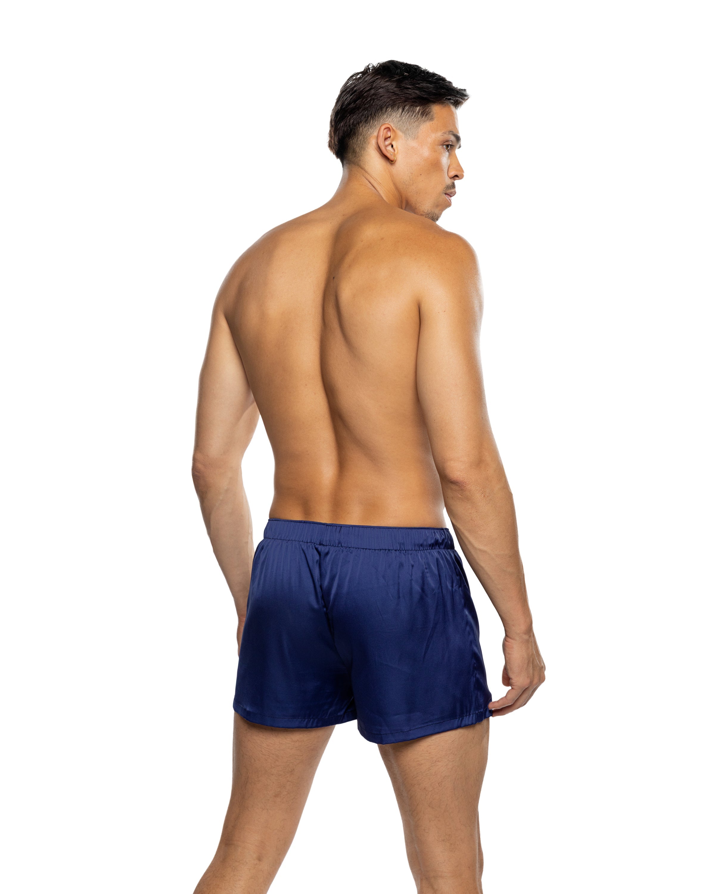 LI818 - Champion Boxer