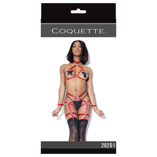 Harness Top And Crotchless Panty
