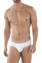 Australian Latin Briefs