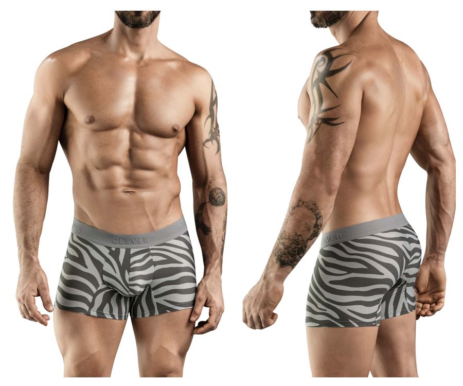 Cebra Trunks