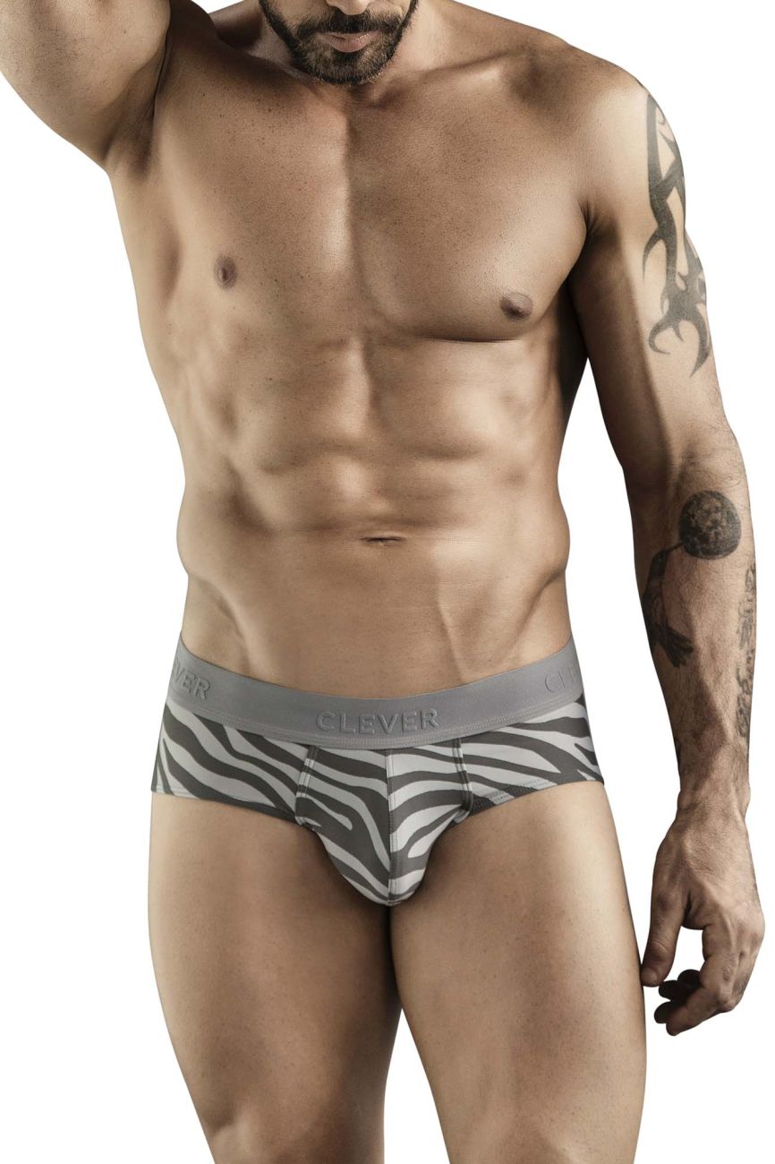 Cebra Briefs