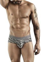 Cebra Briefs