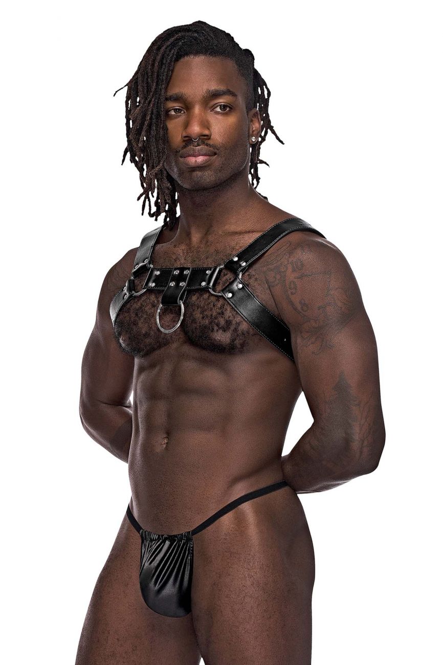 Leather Aries Harness