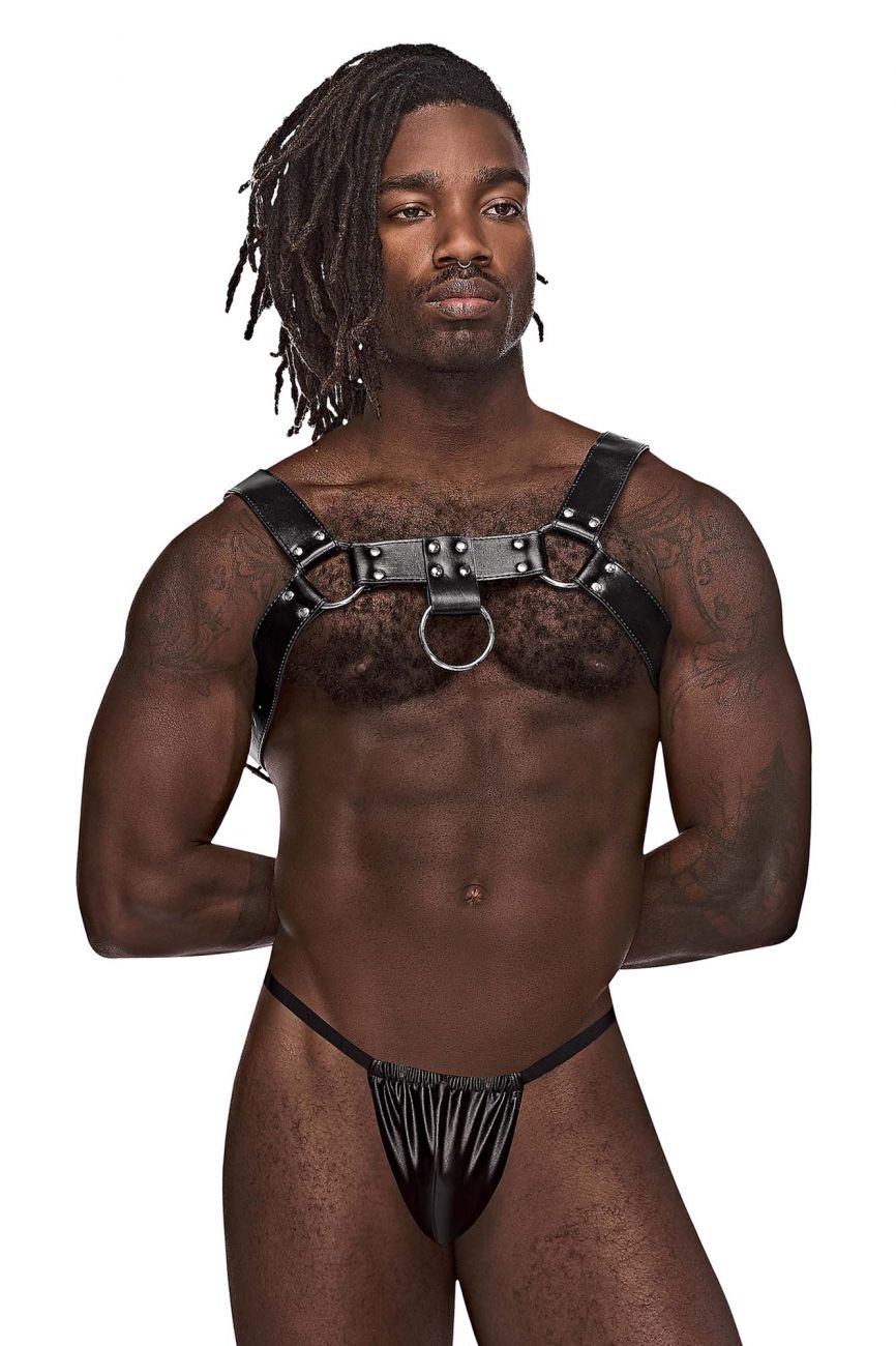 Leather Aries Harness