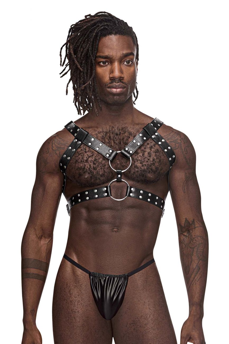 Leather Gemini Harness